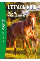 L'Etalon Noir NED 10 -  Flamme cheval sauvage