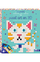 Pixel art en 3D - boîte avec accessoires