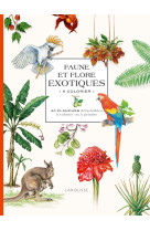 Faune et flore exotiques à colorier