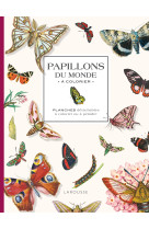 Papillons du monde à colorier