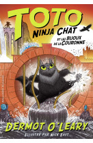 Toto Ninja chat et les bijoux de la couronne