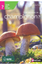 Quel est donc ce champignon ?