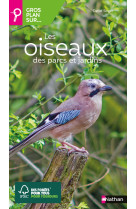 Gros plan sur les oiseaux des parcs et jardins