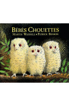 Bébés chouettes