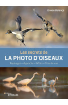 Les secrets de la photo d'oiseaux