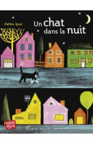 Un chat dans la nuit