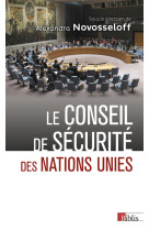 Le Conseil de sécurité des Nations Unies