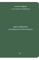 Pas vu Maurice. Chroniques de l'infraordinaire