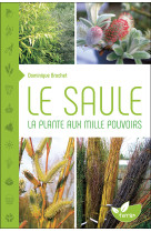 Le Saule - La plante aux mille pouvoirs