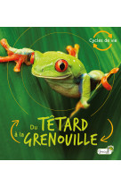 Du têtard à la grenouille