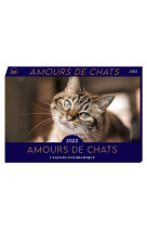 Agenda panoramique Amours de chats 2022