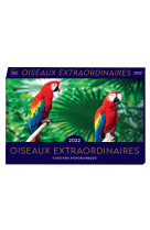 Agenda panoramique Oiseaux extraordinaires 2022