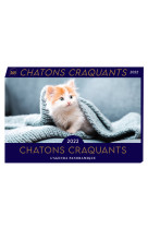 Agenda panoramique Chatons craquants 2022