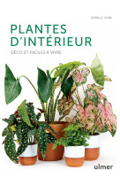 Plantes d'intérieur - Déco et faciles à vivre