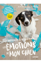 Comprendre & accompagner les émotions de mon chien