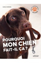 Pourquoi mon chien fait-il ça?