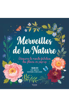 MERVEILLES DE LA NATURE NE