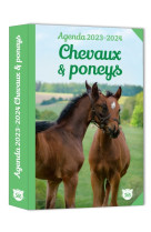 Agenda scolaire Chevaux et poneys 2023-2024