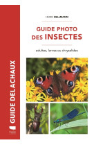 Guide photo des insectes