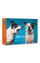 Agenda - Calendrier Drôles de chiens 2025