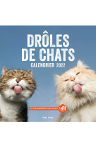 Calendrier Mural drôles de chat 2022