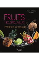 Fruits tropicaux