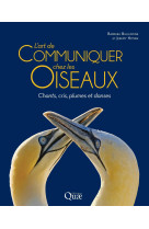 L'art de communiquer chez les oiseaux