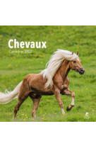 Chevaux - Calendrier 2022