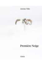 Première neige