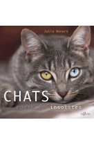 Chats, portraits insolites