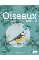 Oiseaux grandeur nature