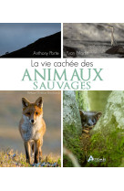 La vie cachée des animaux sauvages