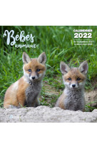 Calendrier Bébés animaux 2022