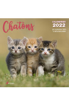 Calendrier Chatons 2022