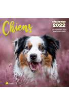 Calendrier Chiens 2022