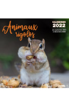 Calendrier Animaux rigolos 2022