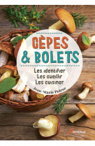 Cèpes & bolets