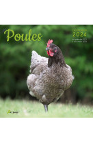 Calendrier Poules 2024