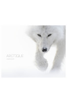 Arctique