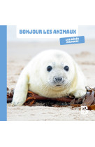 Les bébés animaux