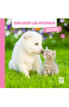 Les animaux domestiques