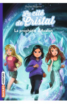 La cité de cristal, Tome 05