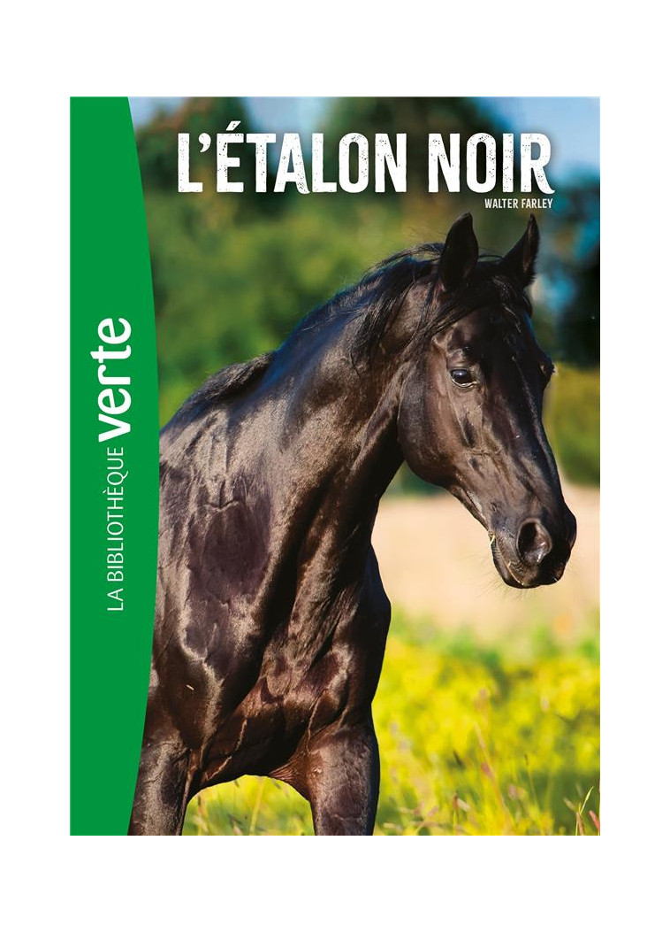 L'ETALON NOIR - T01 - L'ETALON NOIR 01 NED - L'ETALON NOIR - FARLEY WALTER - HACHETTE