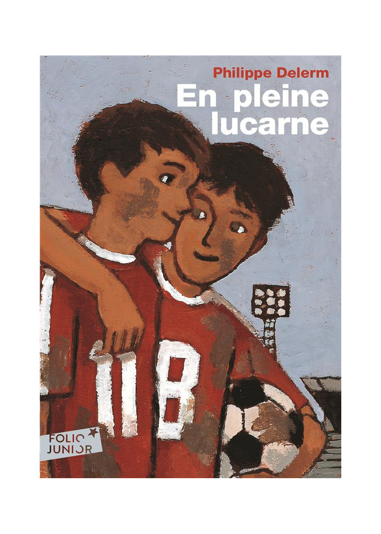 EN PLEINE LUCARNE - DELERM PHILIPPE - GALLIMARD