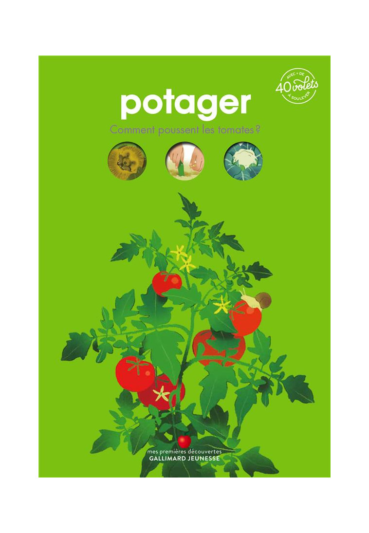 MON DOCUMENTAIRE ANIME - T05 - POTAGER - COMMENT POUSSENT LES TOMATES ? - LAMOUREUX/MARNAT - GALLIMARD