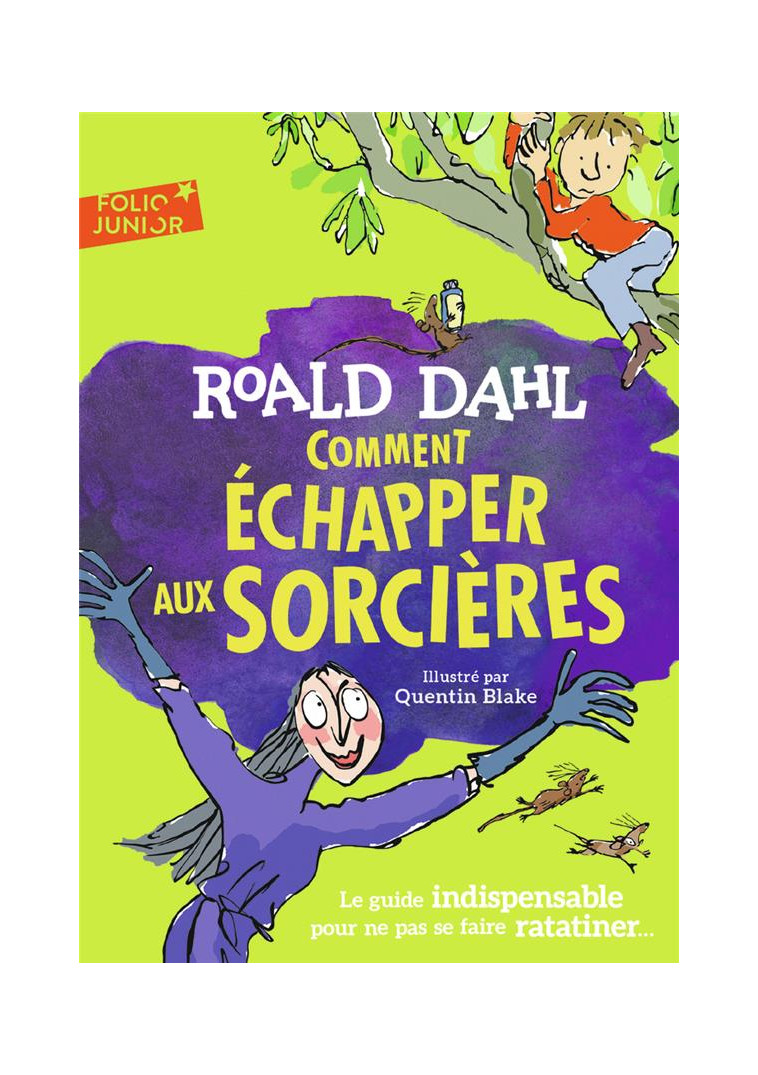 COMMENT ECHAPPER AUX SORCIERES - LE GUIDE INDISPENSABLE POUR NE PAS SE FAIRE RATATINER... - DAHL/BLAKE - GALLIMARD