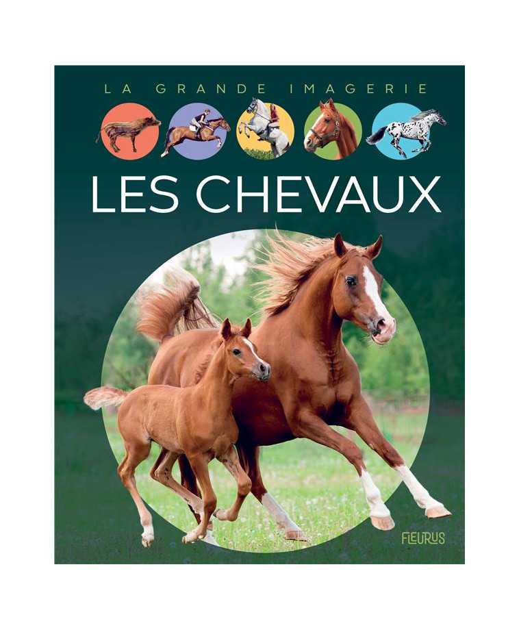 LES CHEVAUX - VANDEWIELE AGNES - FLEURUS