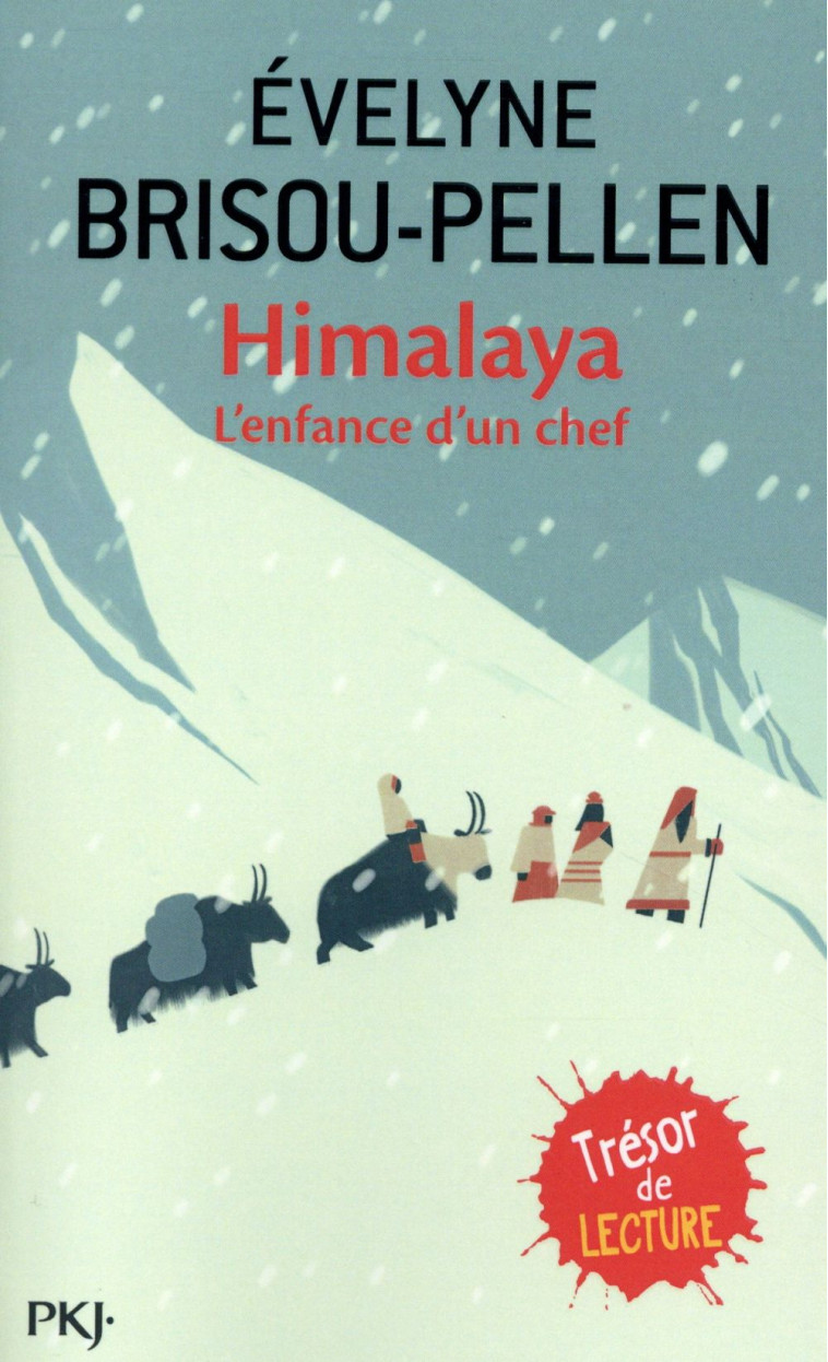 HIMALAYA - L'ENFANCE D'UN CHEF - BRISOU-PELLEN/NORBU - POCKET