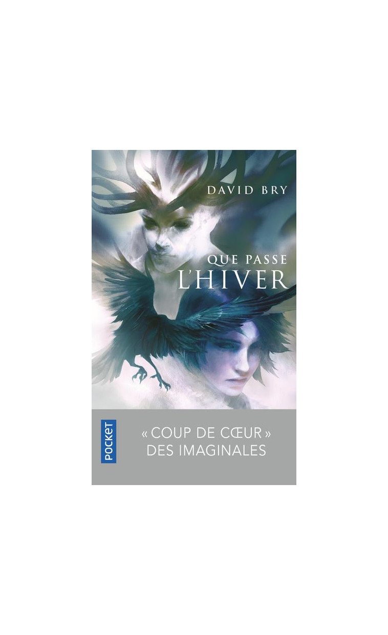 QUE PASSE L'HIVER - BRY DAVID - POCKET