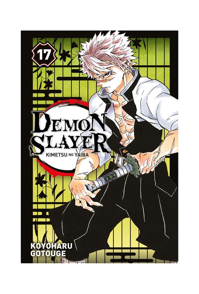 DEMON SLAYER T17 - GOTOUGE KOYOHARU - PANINI COM MAG